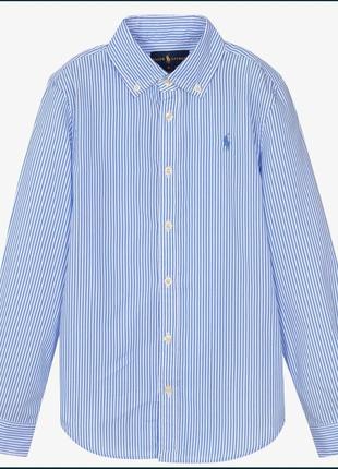 Стильна сорочка блакитна у смужку polo ralph lauren2 фото