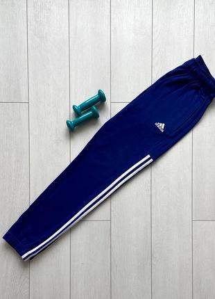 Мужские спортивные штаны adidas джоггеры