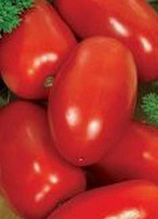 Семена томата "надежда"