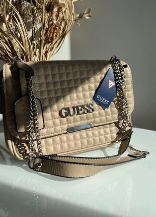 ❌ guess zippy