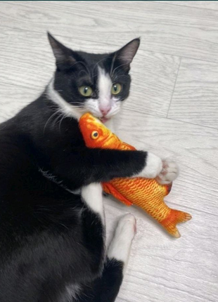 Игрушка мягкая для кота.