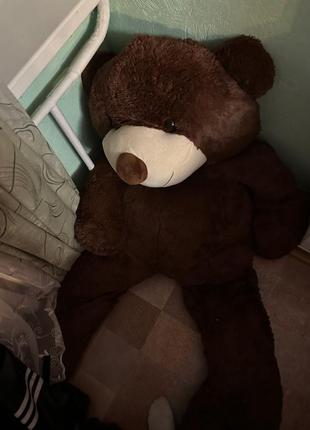 Большой медведь