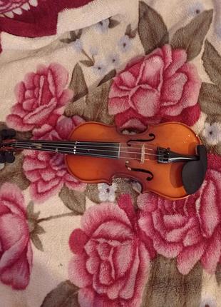 Скрипка 🎻🎻🎻