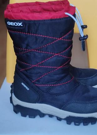 Зимові сапоги geox 29p.