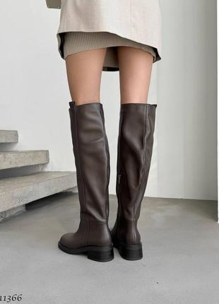 Ботфорты еврозима