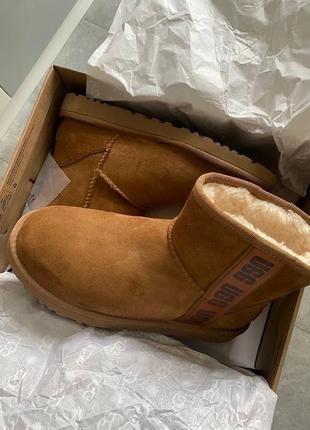 Ugg угг оригинал