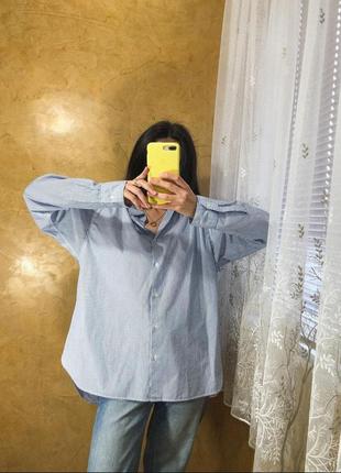 Сорочка в смужку uniqlo2 фото