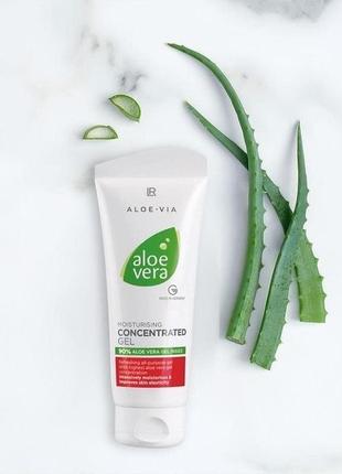 Крем-гель концентрант lr aloe vera