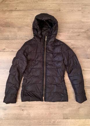 Пуховик moncler шоколадного кольору