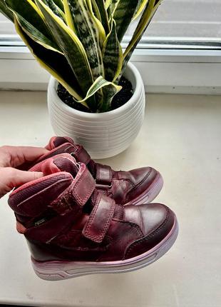Зимние сапоги ecco