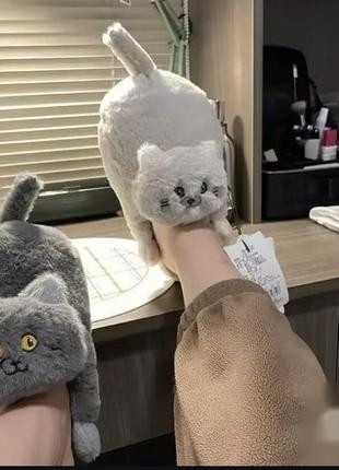 Забавные тапочки с котиками