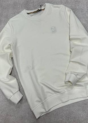 Чоловічий світшот