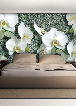 Флизелиновые 3d фотообои в гостиную цветы 416x254 см белые орхидеи на сером фоне (1016vexxxl)+клей