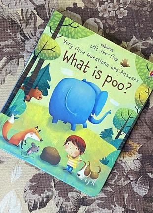 Very first questions and answers. what is poo? claire catherine danes. usborne