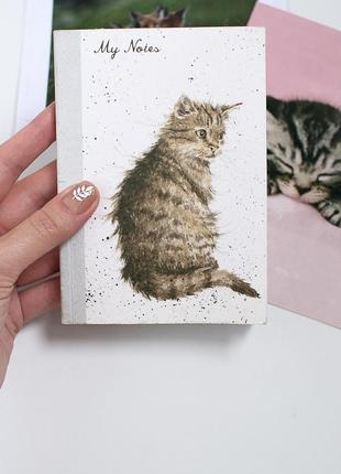 (цена за все) • чрезвычайно красивые блокнот и две открытки