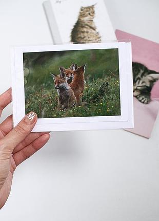 (цена за все) • чрезвычайно красивые блокнот и две открытки