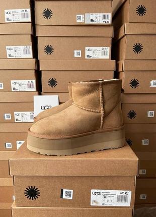 Женские угги ugg mini platform chestnut