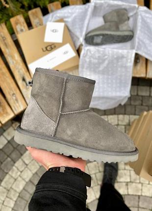 Женские угги ugg classic mini grey suede