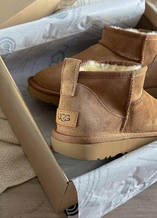 Замшевые угги ultra mini chesnut