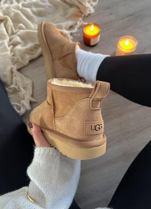 Замшевые угги ultra mini chesnut