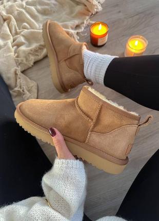 Замшевые угги ultra mini chesnut