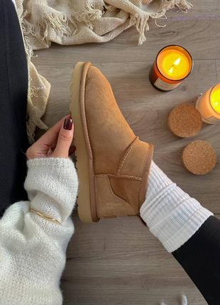 Замшевые угги ultra mini chesnut