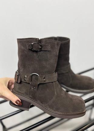 Жіночі черевики із натуральної замші кофейного кольору трендʼ24