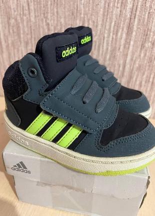 Хайтопы/кроссовки adidas