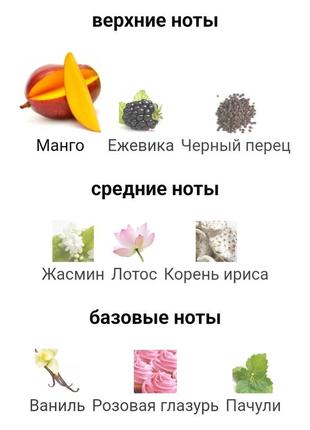 Парфуми розпив mango skin від vilhelm parfumerie 🥭 об'єм 2мл/3мл/5мл2 фото