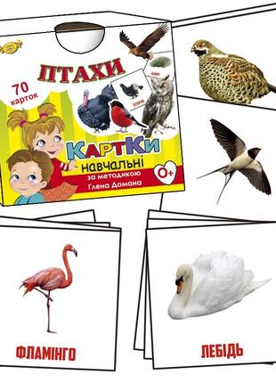 Обучающие карточки глена домана. "птицы" mkd0018