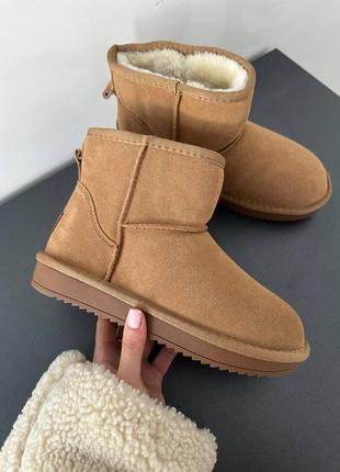 Угги угги угг ugg mini ginger suede