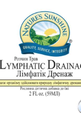 Lymphatic drainage лімфатик дренаж5 фото