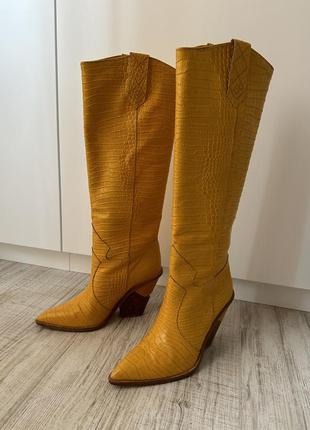 Чоботи козаки fendi