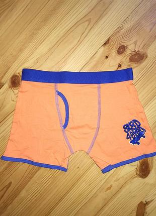 Боксери примарк 10-11