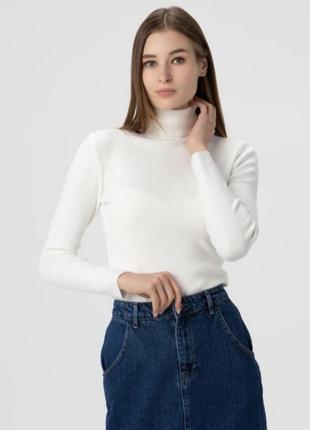 Гольф водолазка