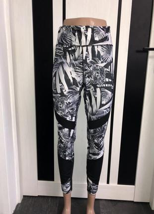 Штани для спорту лосіни