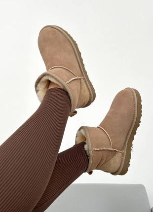 Угги угги угг ugg classic mini brown