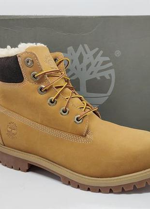 Кожаные водонепроницаемые ботинки timberland оригинал