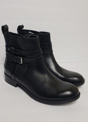 Черевики clarks