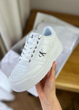 Кросівки calvin klein