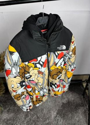 Чоловічий пуховик the north face gucci