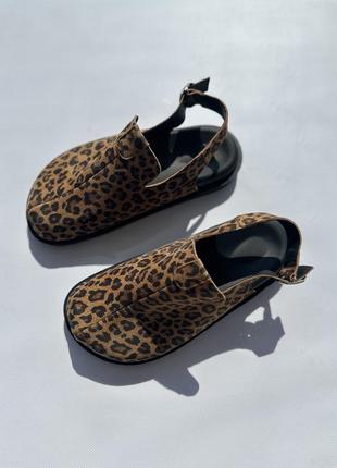 Клоги сабо клогі лео clogs замшеві в стилі birkenstock
