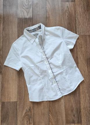 burberry shoulder базовая рубашка хлопок l