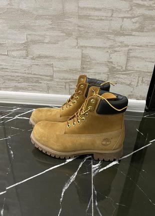Черевики timberland