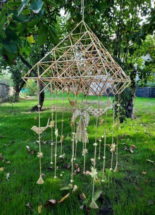 Павук пірамідальний "прилетіла ластівочка"