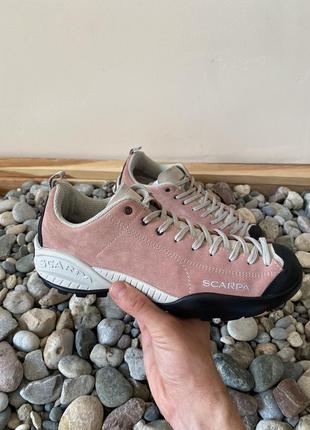 Трекінгові кросівки scarpa mojito