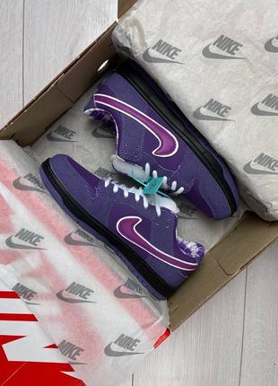 Nike sb dunk low purple lobster