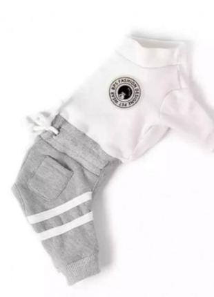 Спортивный костюм для маленьких собачек