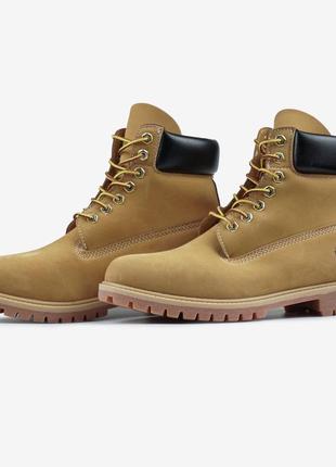 Timberland beige