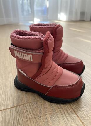 Термочеревички зимові puma